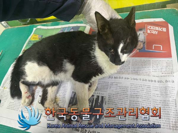 종료(자연사) 한국…